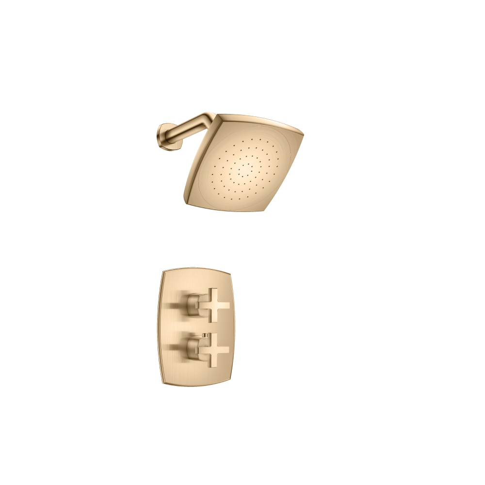 Single Output Shower Set With Shower Head And Arm | Brushed Bronze PVD