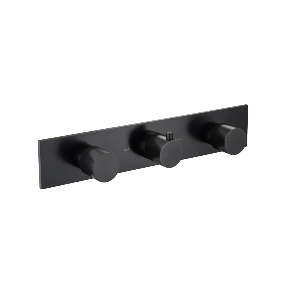 Trim For Horizontal Thermostatic Valve with 2 Volume Controls | Matte Black