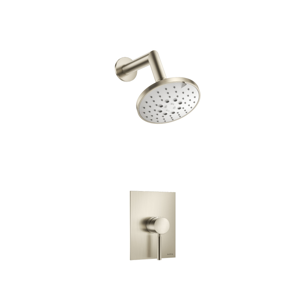 Single Output Shower Set With ABS Shower Head & Arm | Brushed Nickel PVD