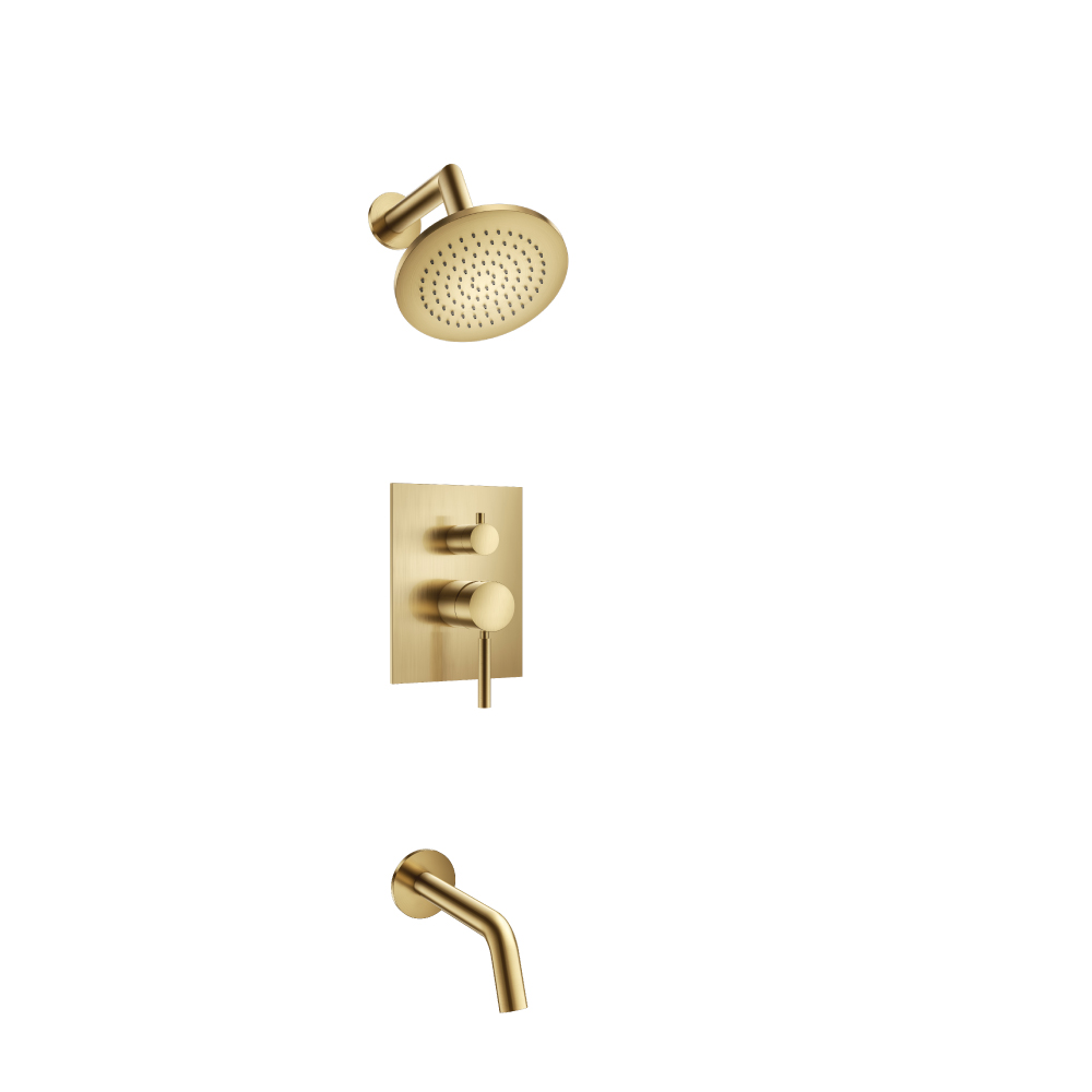 Two Output Shower Set With Shower Head And Tub Spout | Satin Brass PVD