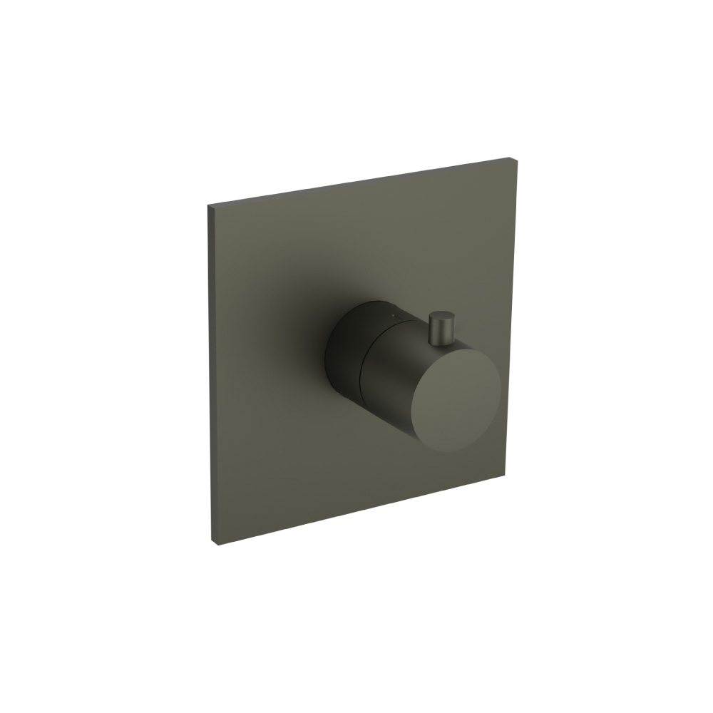 3/4" Thermostatic Valve With Trim | Dark Green