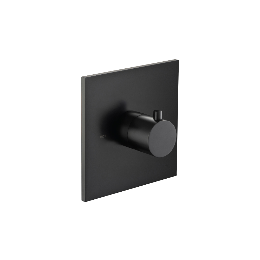 Trim For 3/4" Thermostatic Valve - Use with TVH.4201 | Matte Black