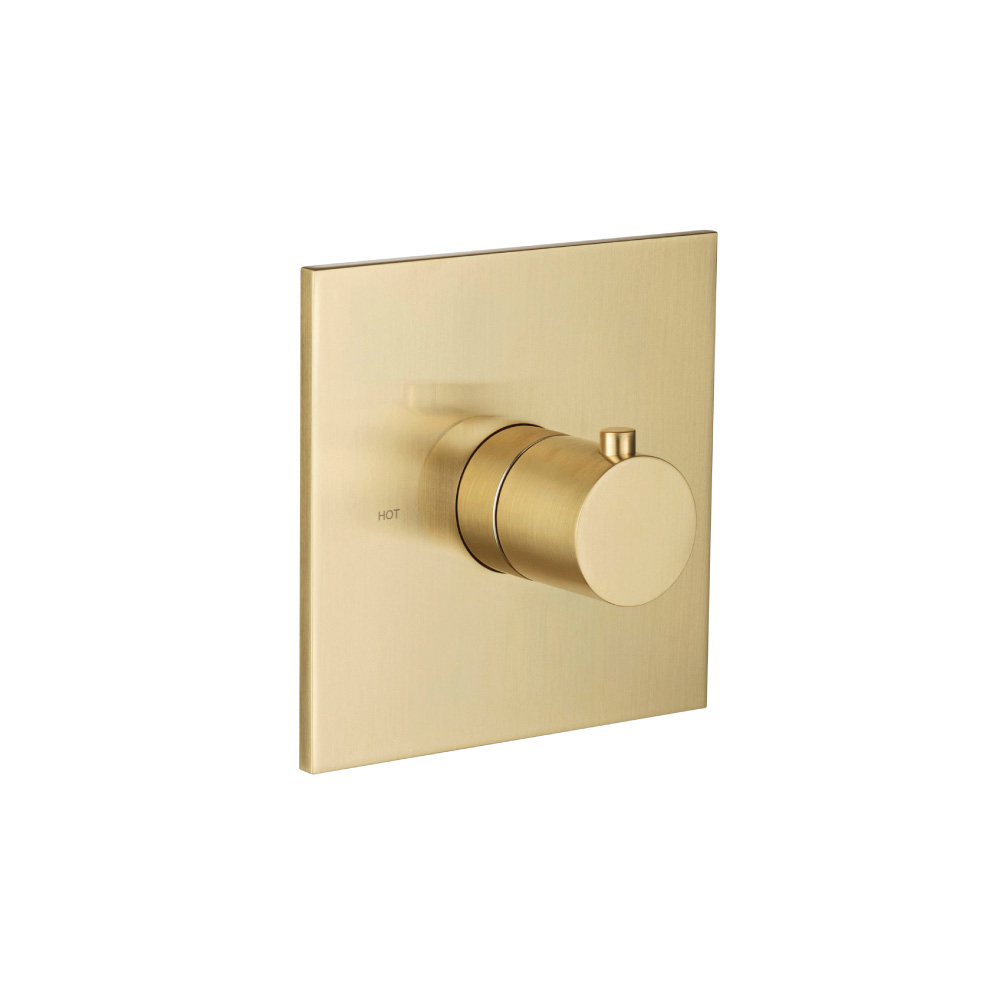 3/4" Thermostatic Valve With Trim | Satin Brass PVD