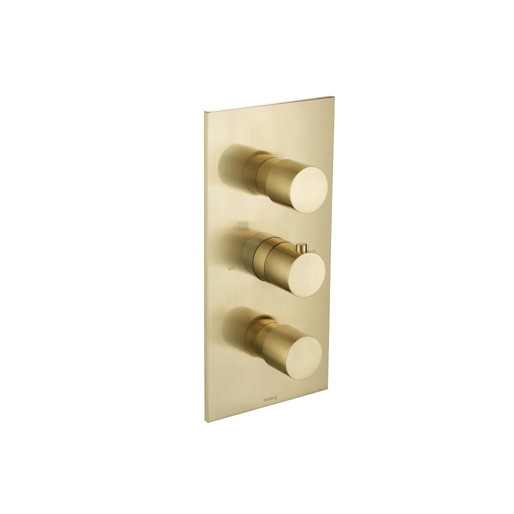 3/4" Thermostatic Valve With Trim - 3 Output | Satin Brass PVD