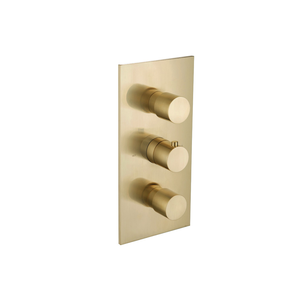 Trim For Thermostatic Valve  | Satin Brass PVD