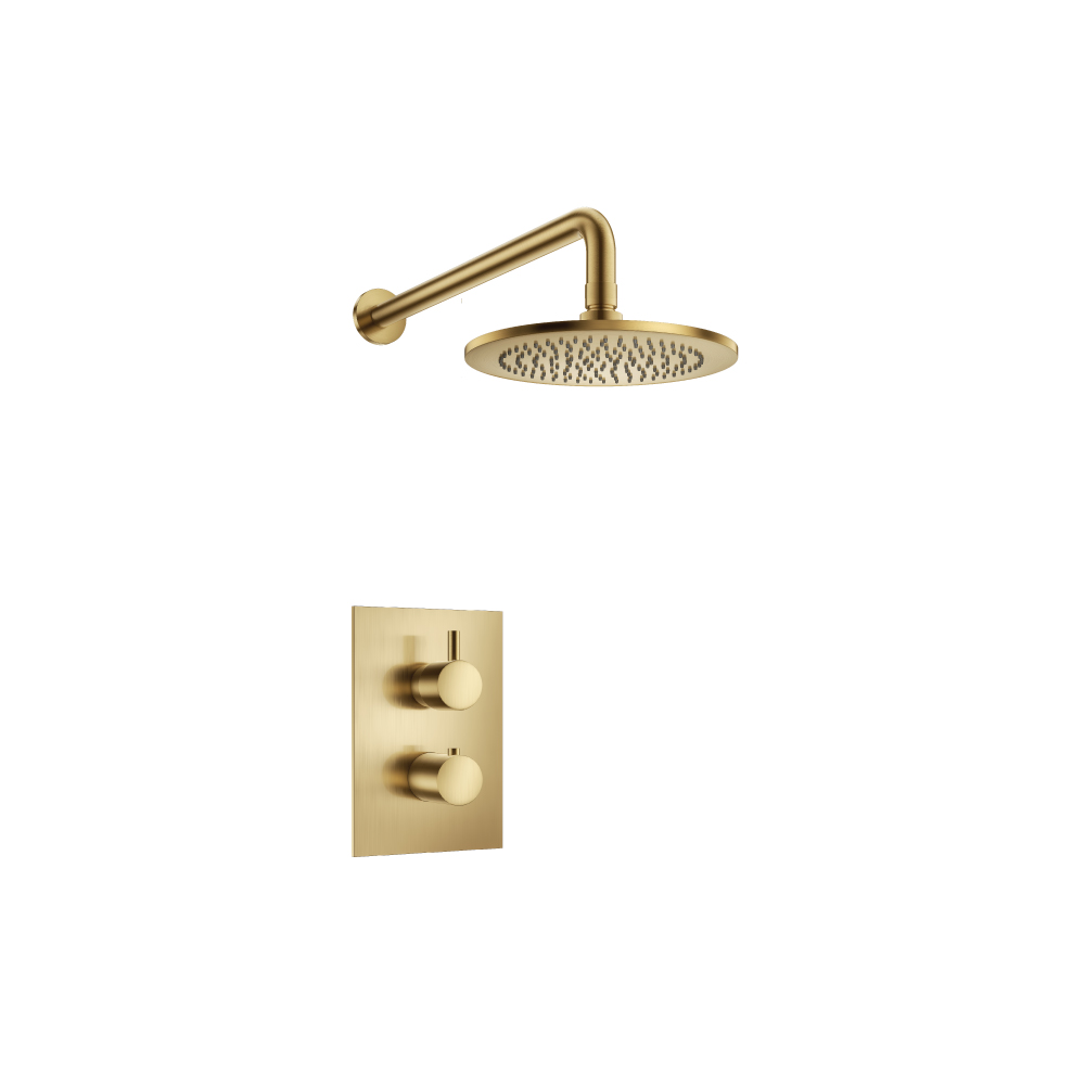 Single Output Shower Set With Shower Head And Arm | Satin Brass PVD