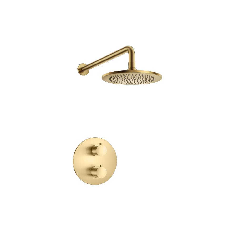 Single Output Shower Set With Shower Head And Arm | Satin Brass PVD