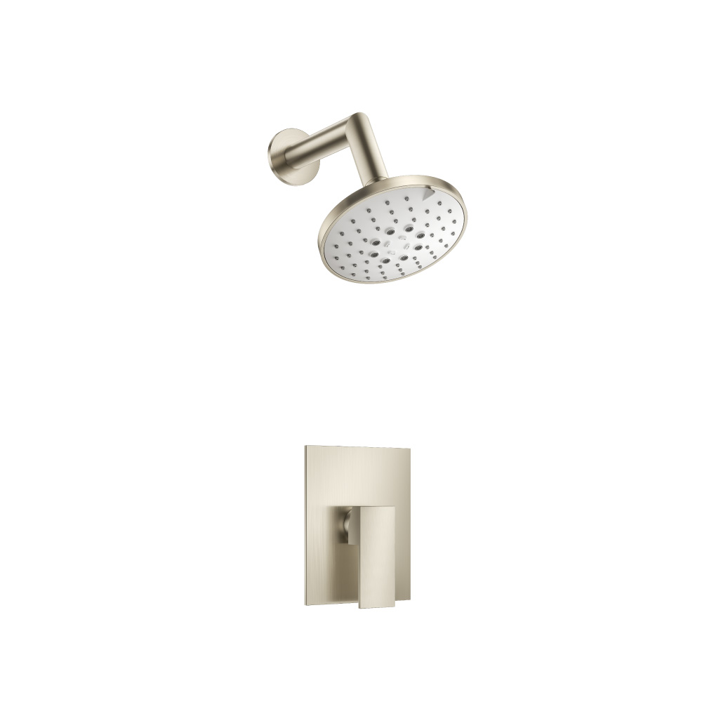 Single Output Shower Set With ABS Shower Head & Arm | Brushed Nickel PVD