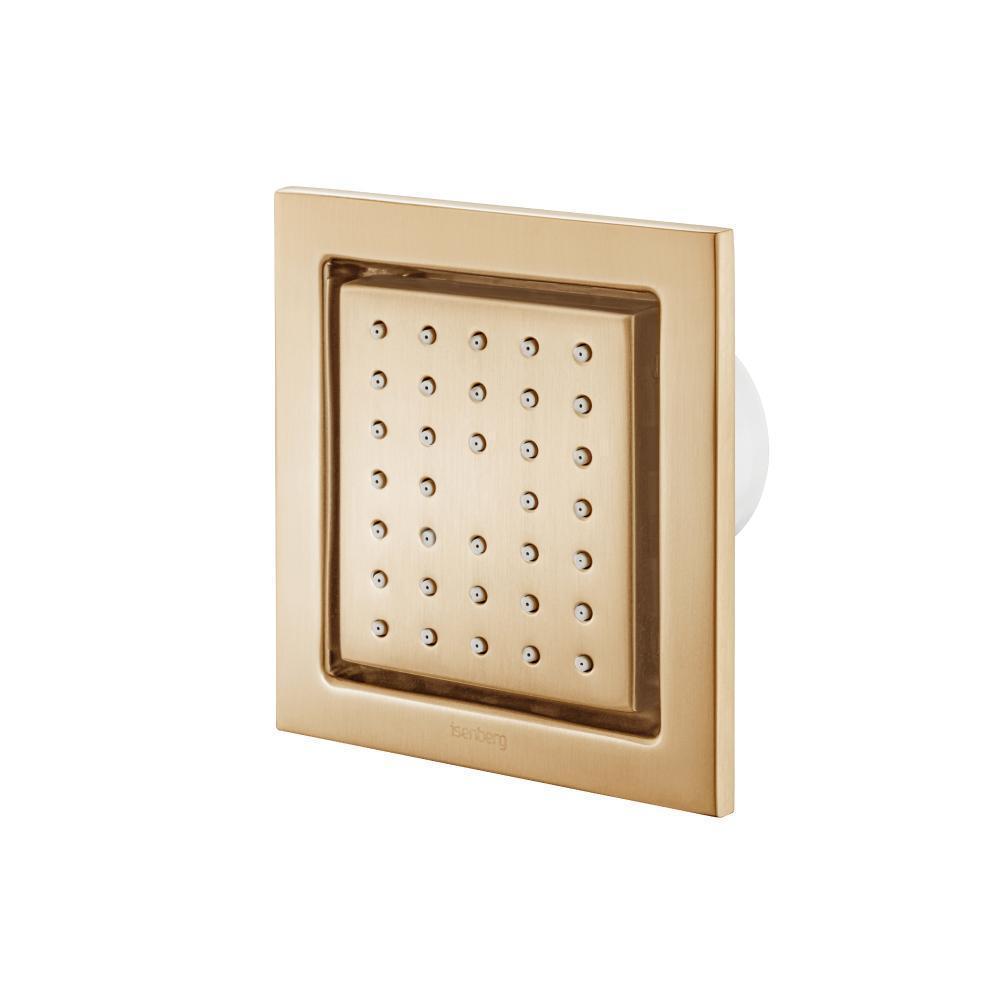 Body Jet - With Swivel Action | Brushed Bronze PVD