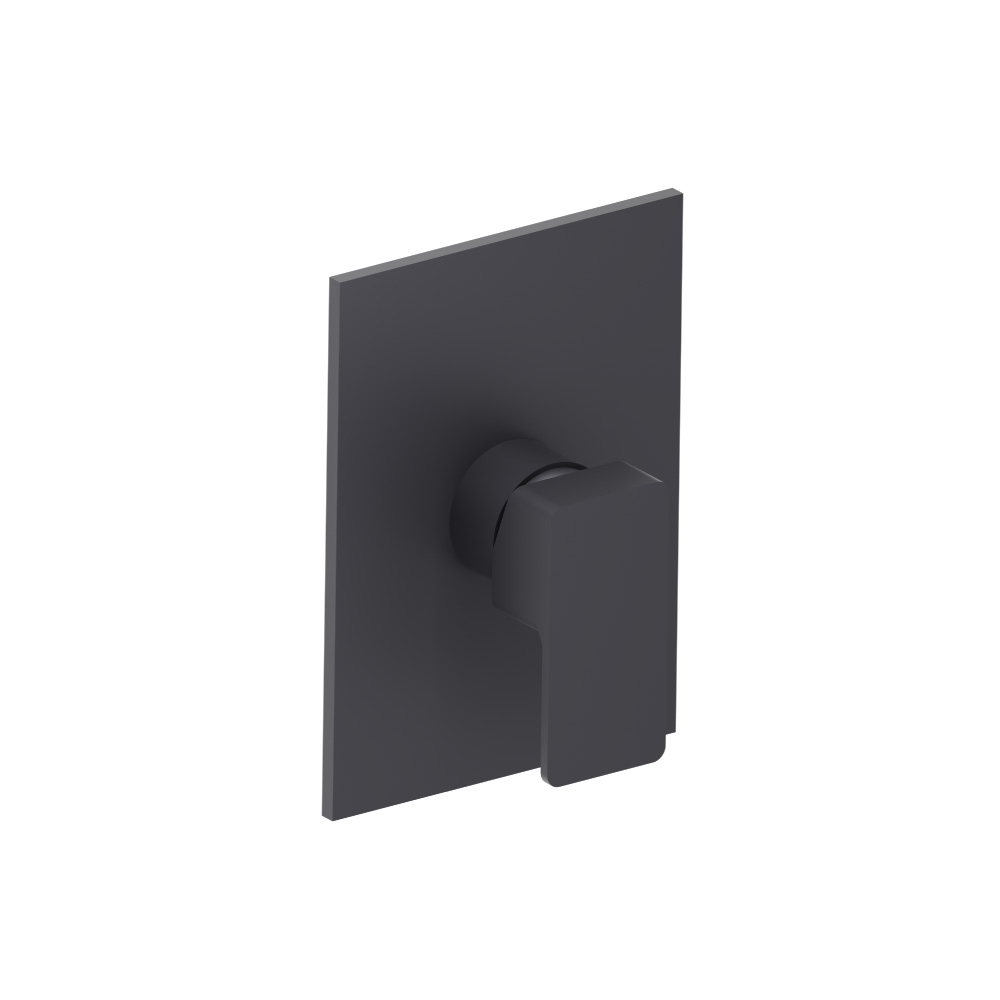 Shower Trim With Pressure Balance Valve | Dark Grey