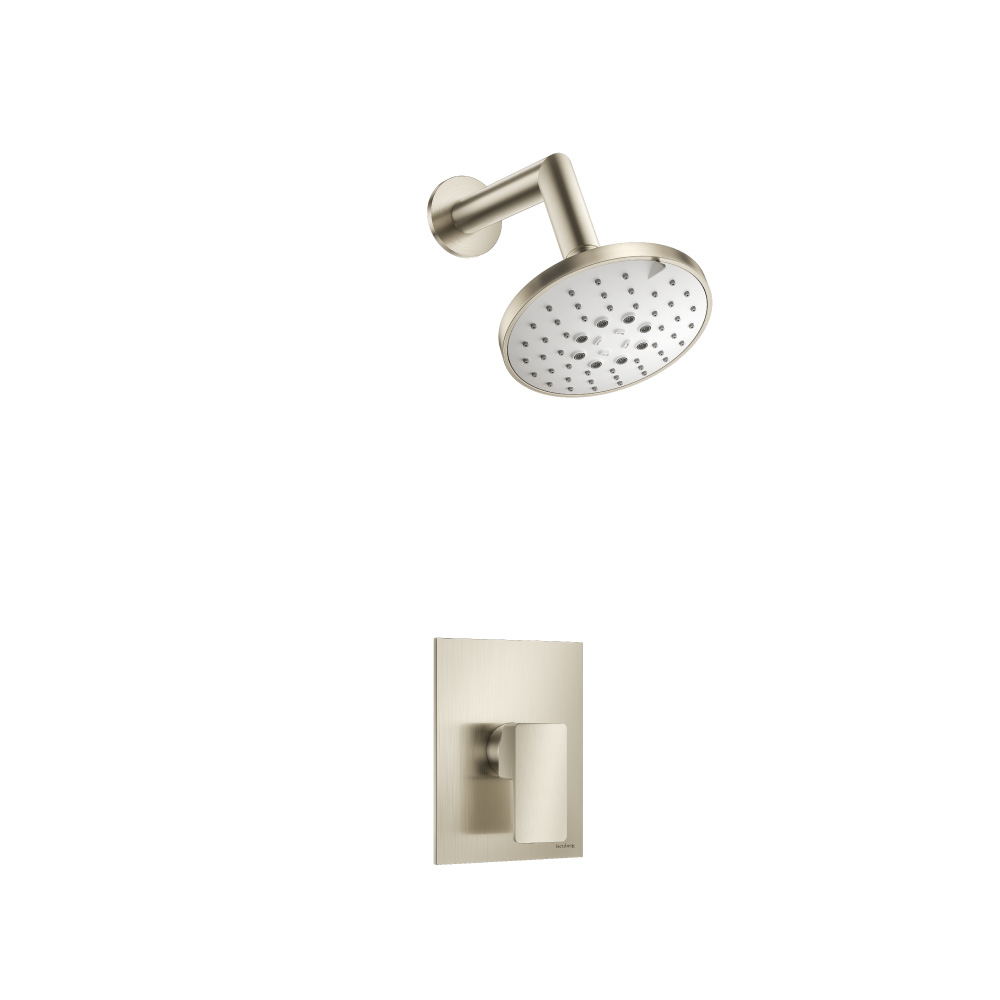 Single Output Shower Set With ABS Shower Head & Arm | Brushed Nickel PVD