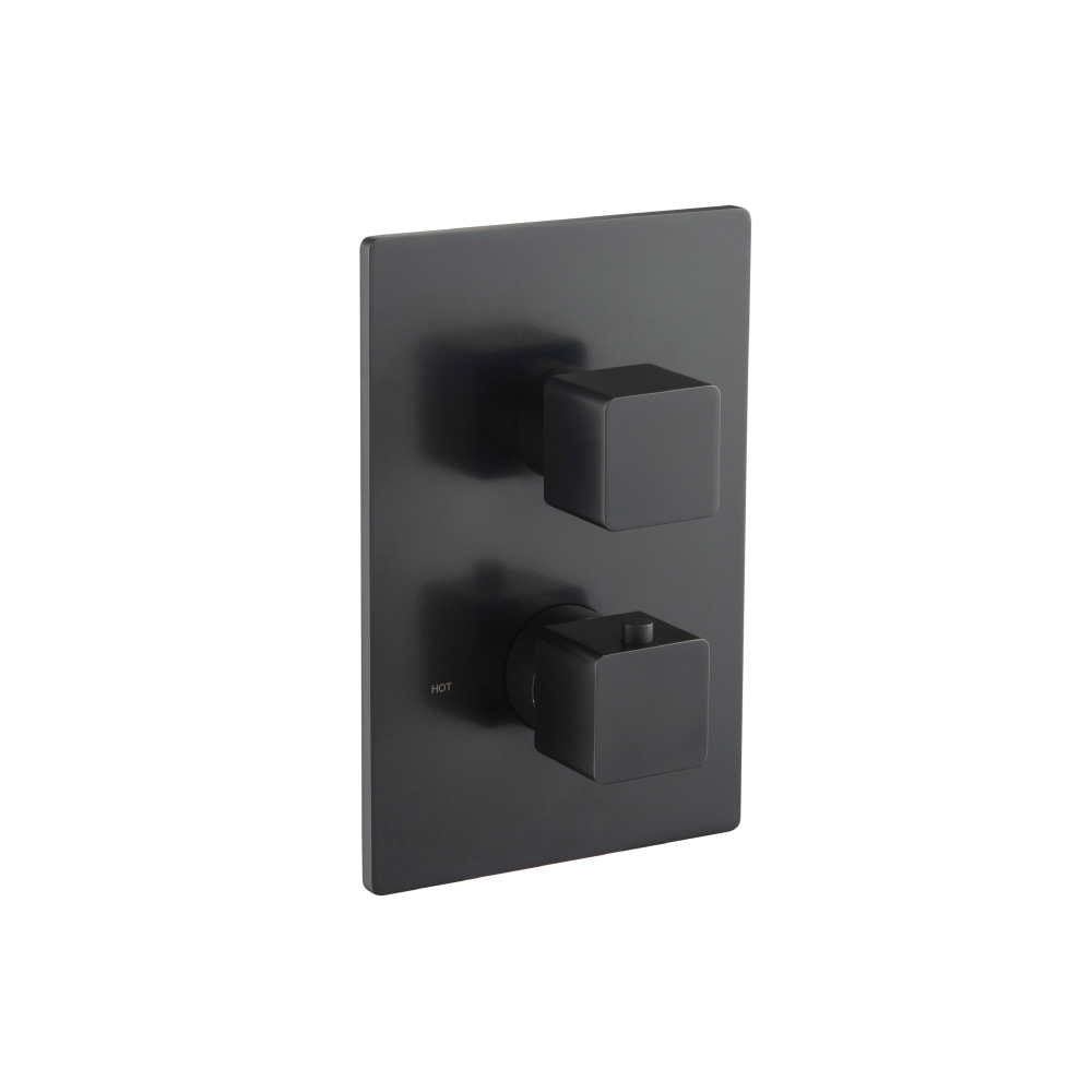 3/4" Thermostatic Shower Valve & Trim - 1 Output | Matte Black