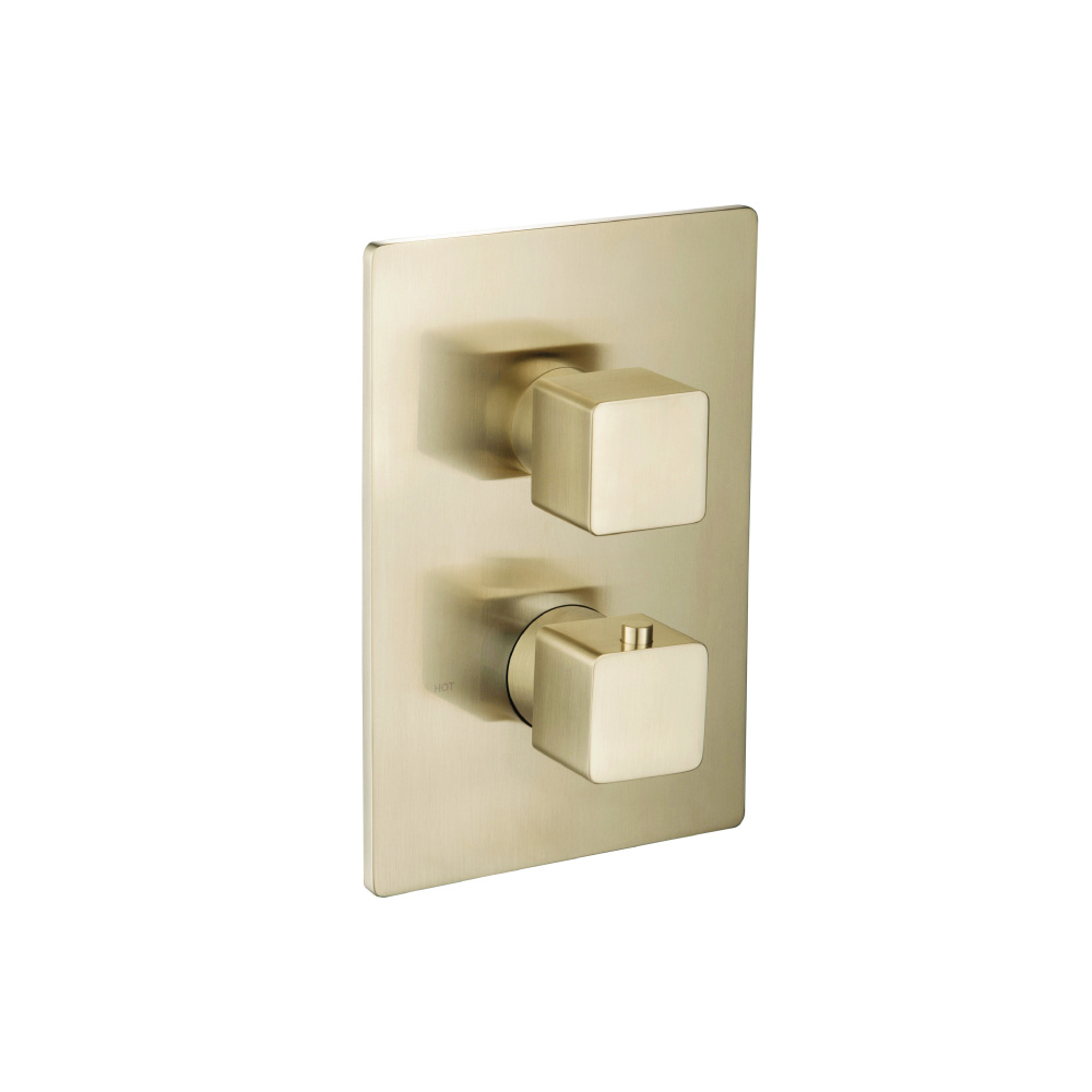 Trim For Thermostatic Valve | Satin Brass PVD