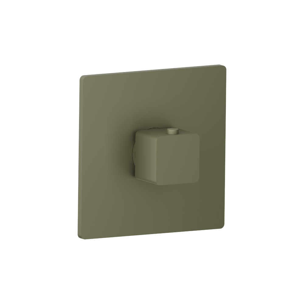 3/4" Thermostatic Valve With Trim | Army Green