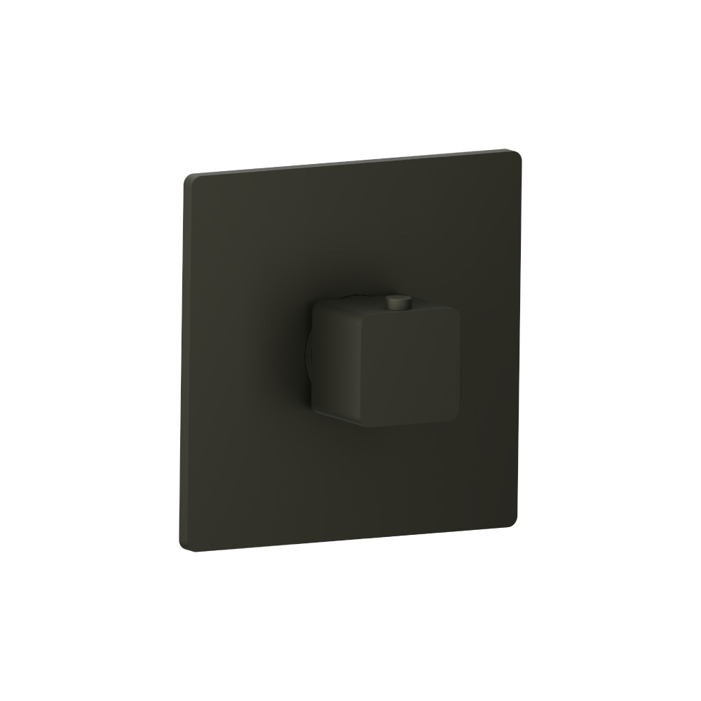 3/4" Thermostatic Valve With Trim | Dark Green