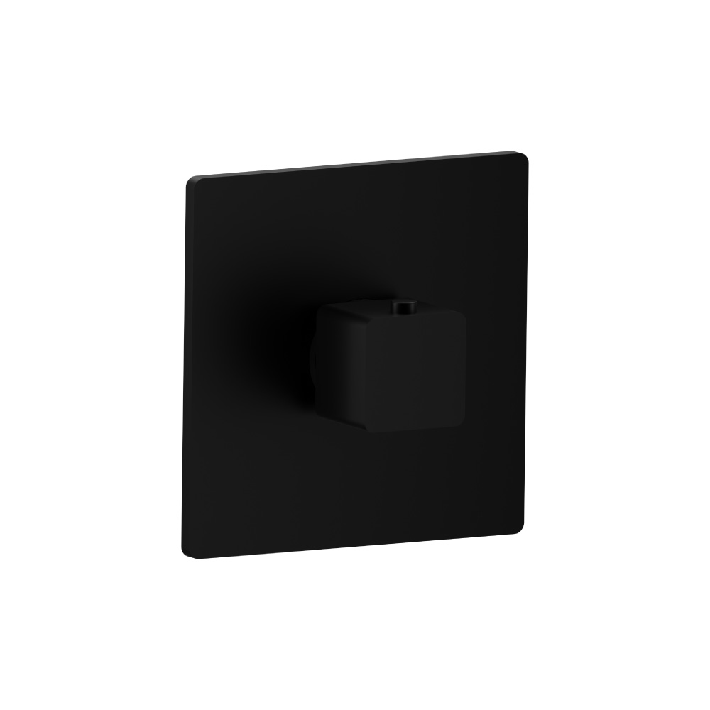 3/4" Thermostatic Valve With Trim | Gloss Black