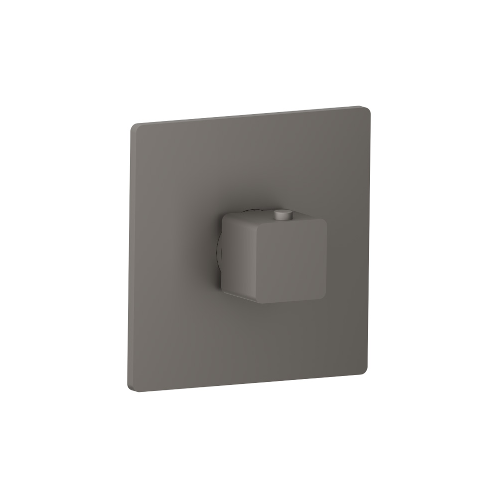 3/4" Thermostatic Valve With Trim | Steel Grey