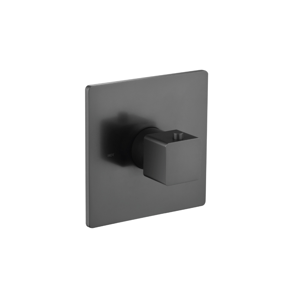 3/4" Thermostatic Valve With Trim | Matte Black