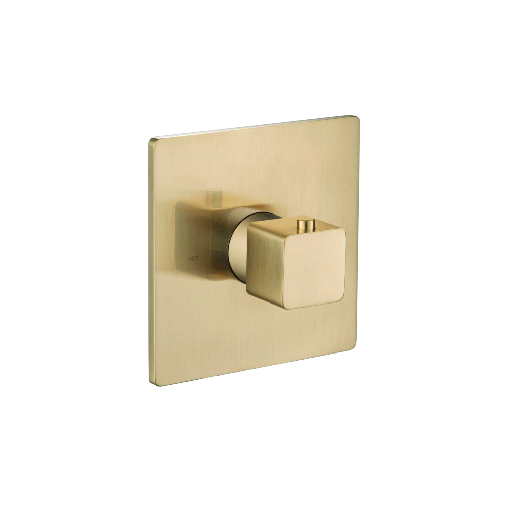 3/4" Thermostatic Valve With Trim | Satin Brass PVD