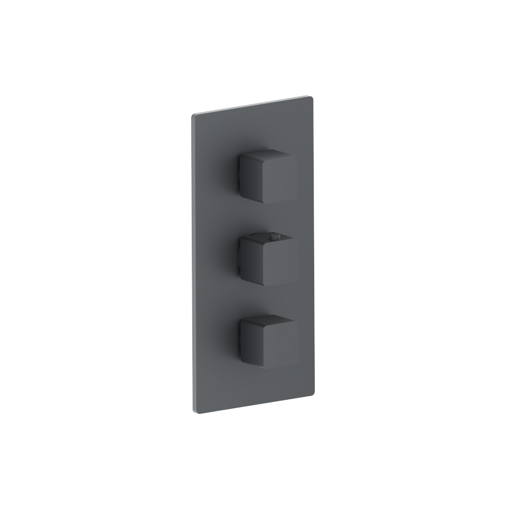 3/4" Thermostatic Valve and Trim - 2 Outputs | Rock Grey