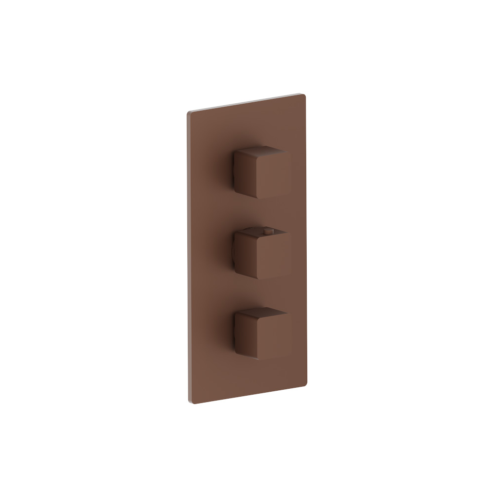 3/4" Thermostatic Valve and Trim - 2 Outputs | Vortex Brown