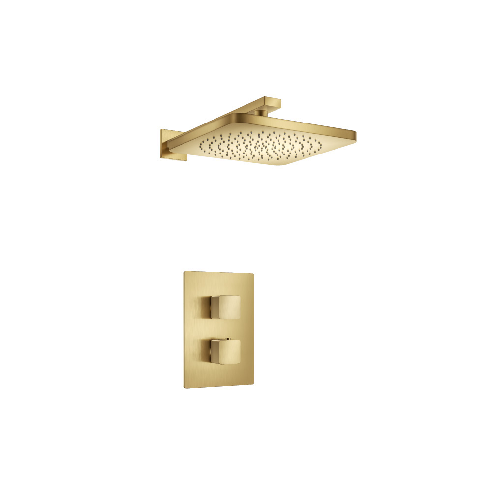 Single Output Shower Set With Shower Head And Arm | Satin Brass PVD