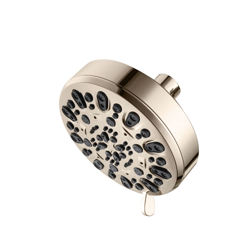 6-Function ABS Showerhead | Polished Nickel PVD