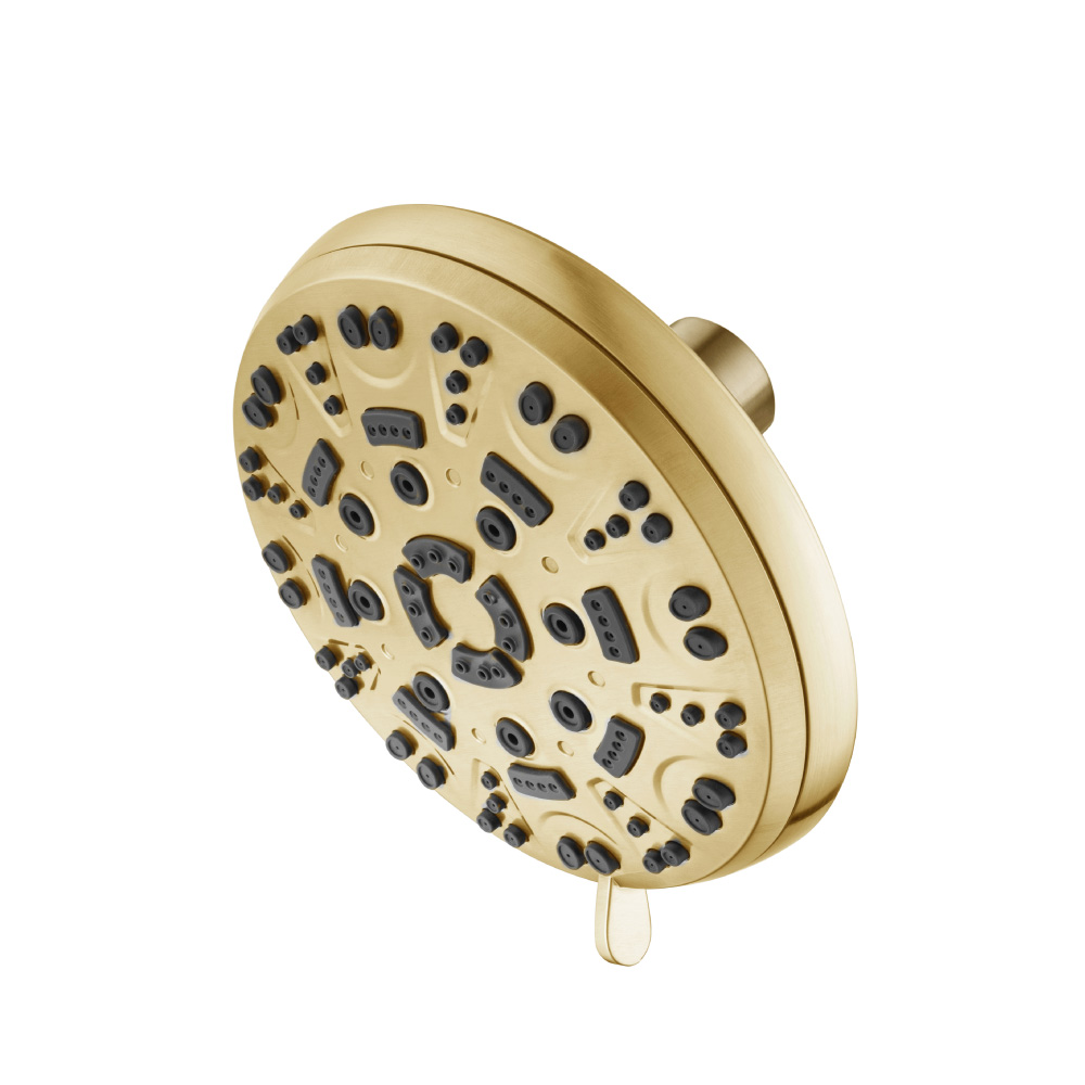6-Function ABS Shower Head | Satin Brass PVD