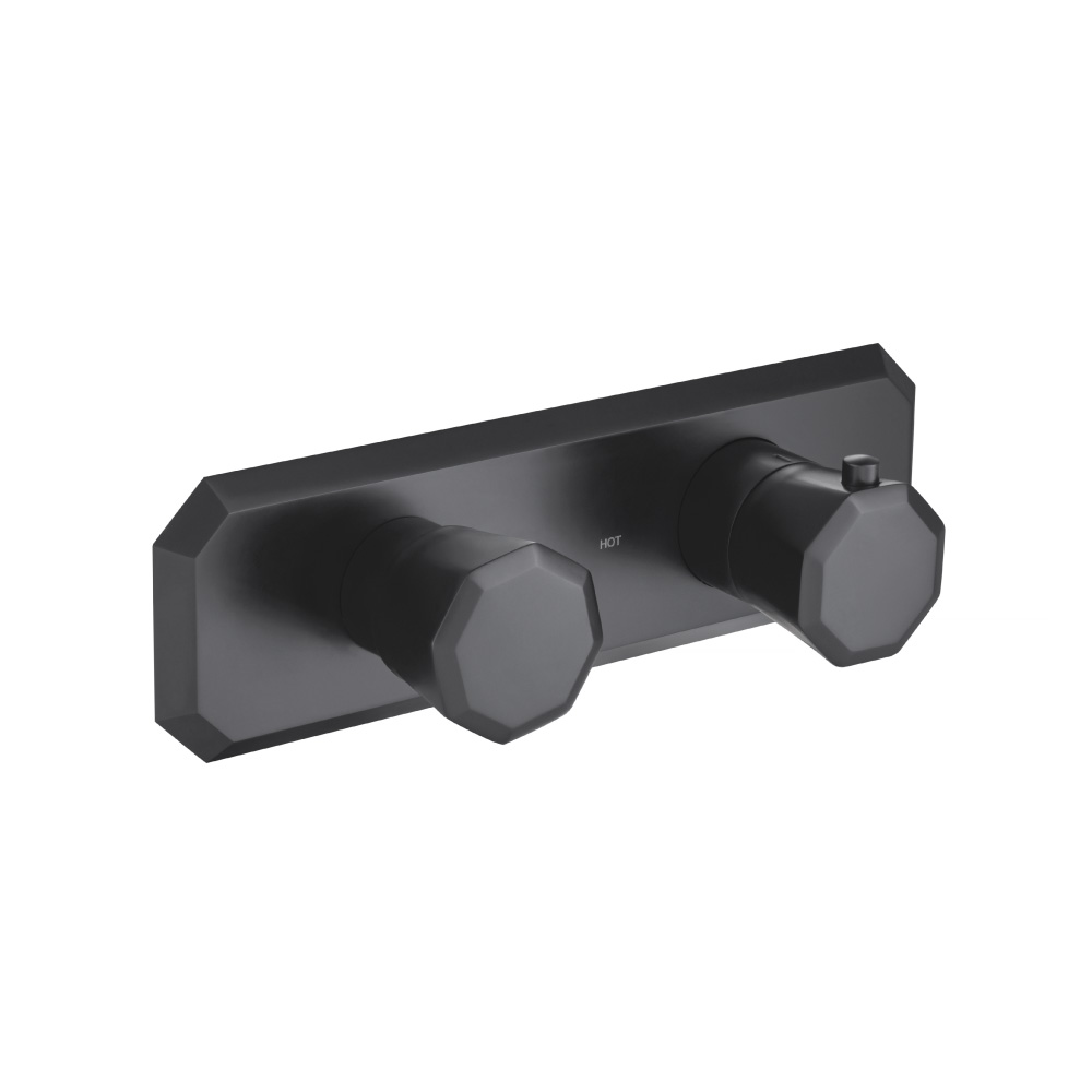 Trim For Thermostatic Valve | Matte Black