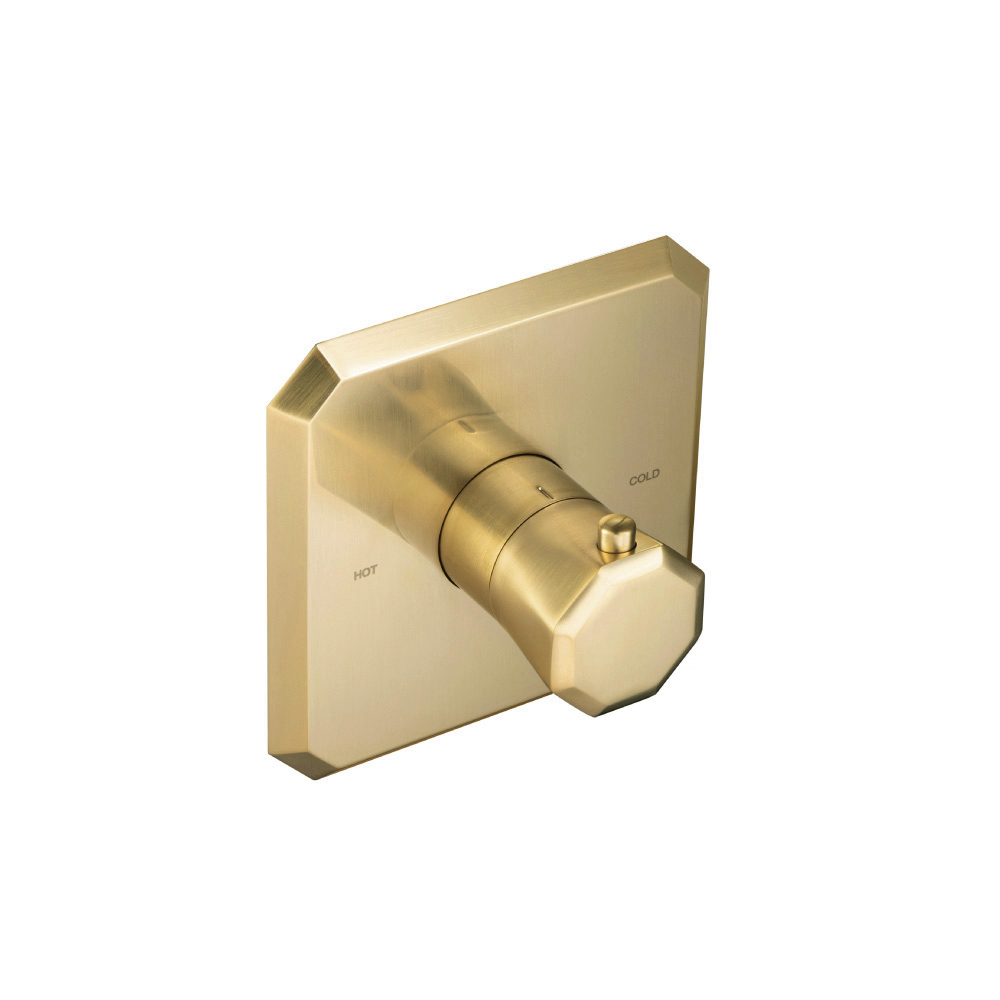 Trim For 3/4" Thermostatic Valve - Use with TVH.4201 | Satin Brass PVD