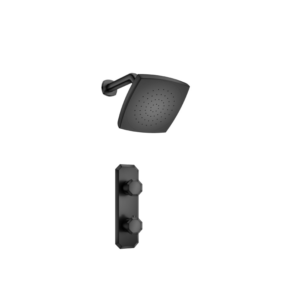 Single Output Shower Set With Shower Head And Arm | Matte Black