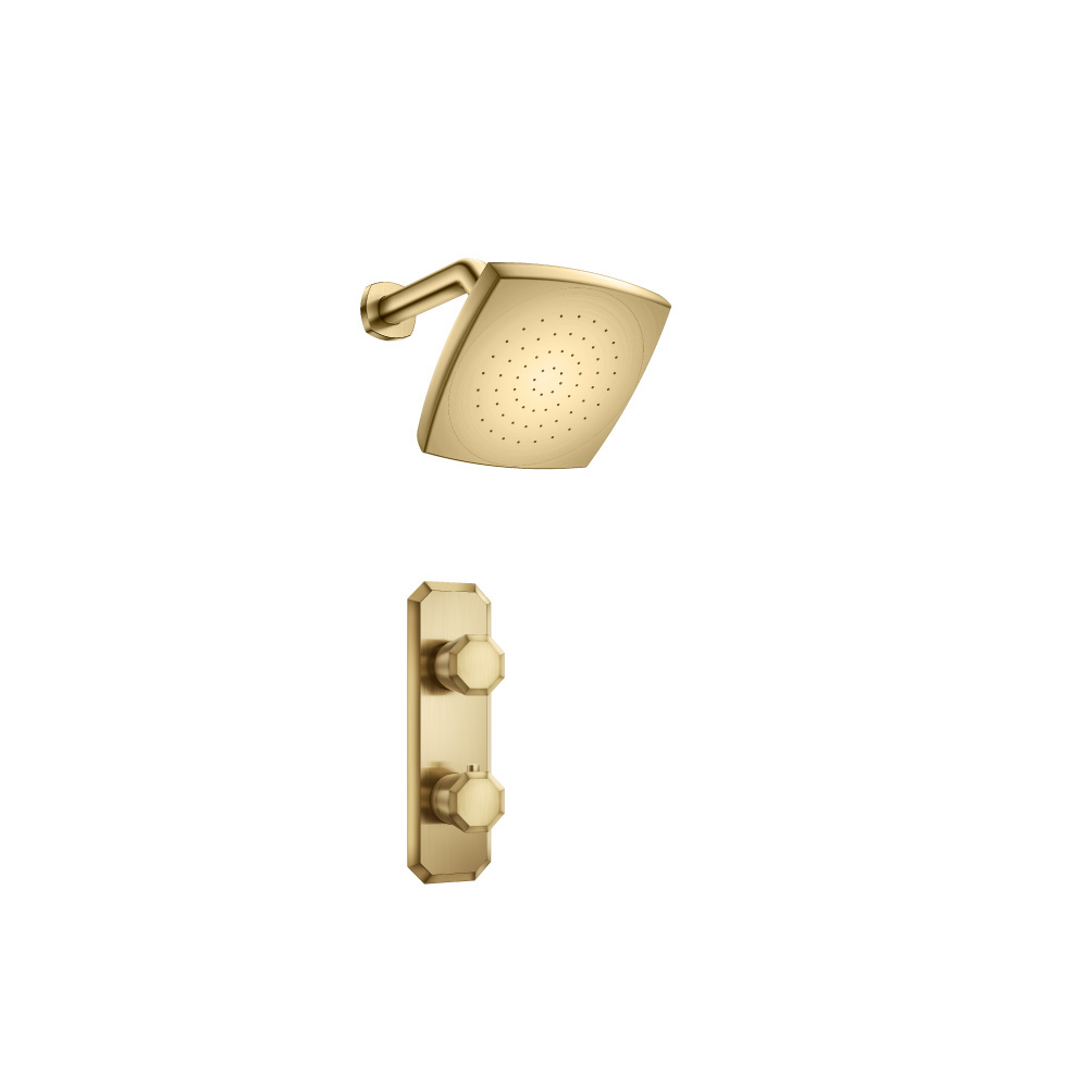 Single Output Shower Set With Shower Head And Arm | Satin Brass PVD