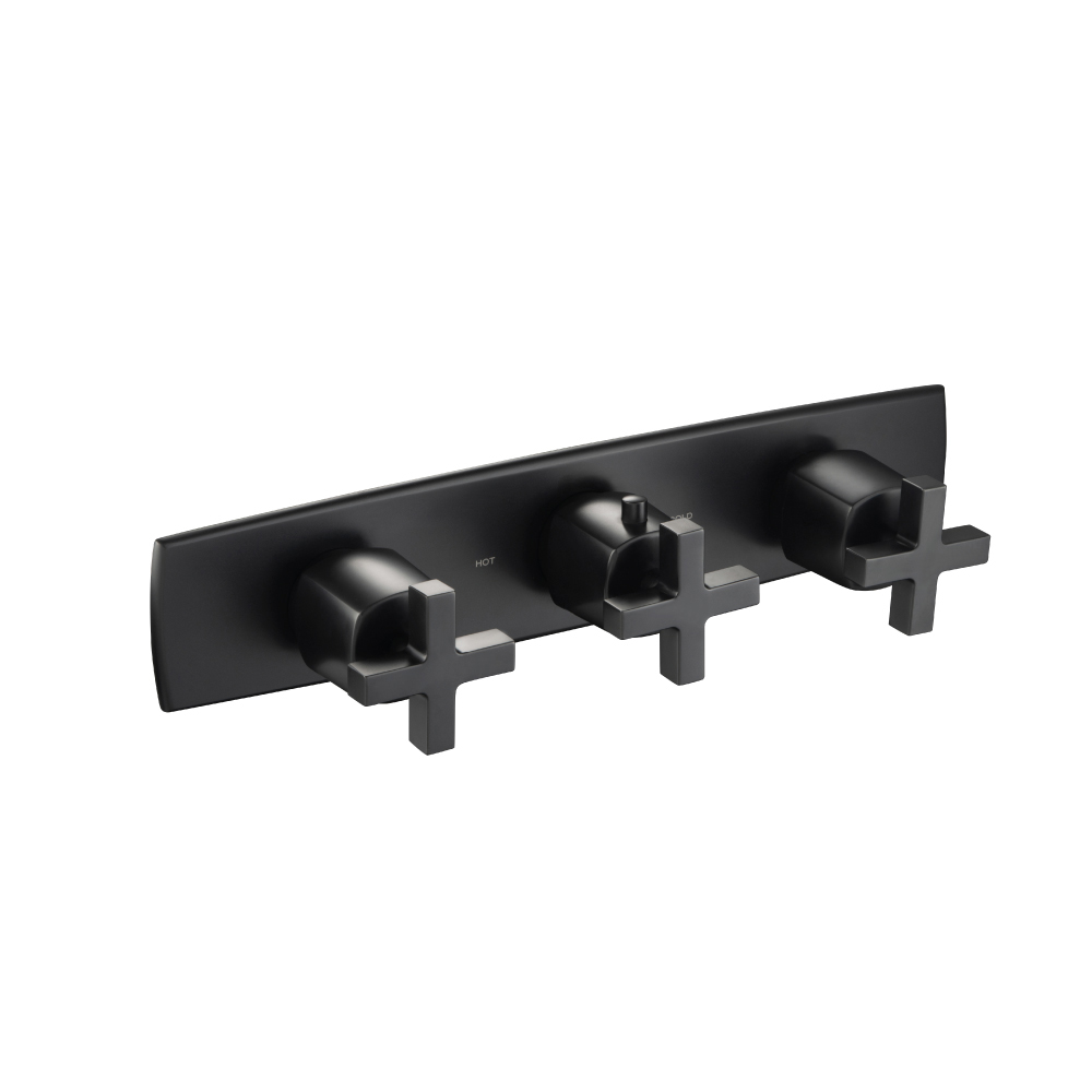 Trim For Horizontal Thermostatic Valve with 2 Volume Controls | Matte Black