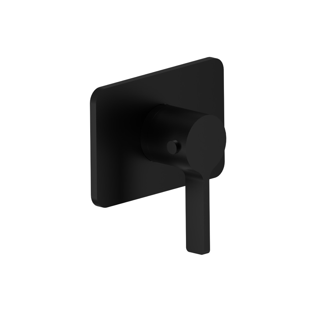 3/4" Thermostatic Valve With Trim | Gloss Black