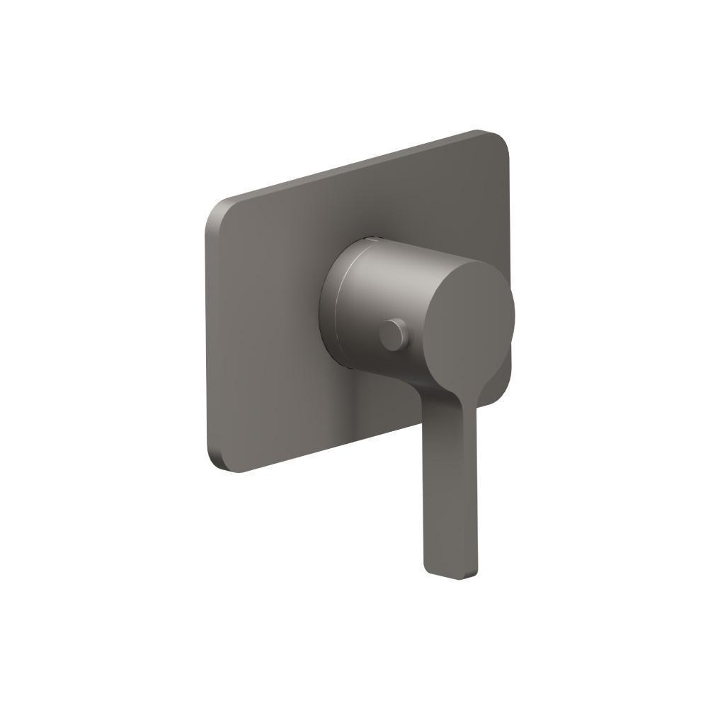 3/4" Thermostatic Valve With Trim | Steel Grey