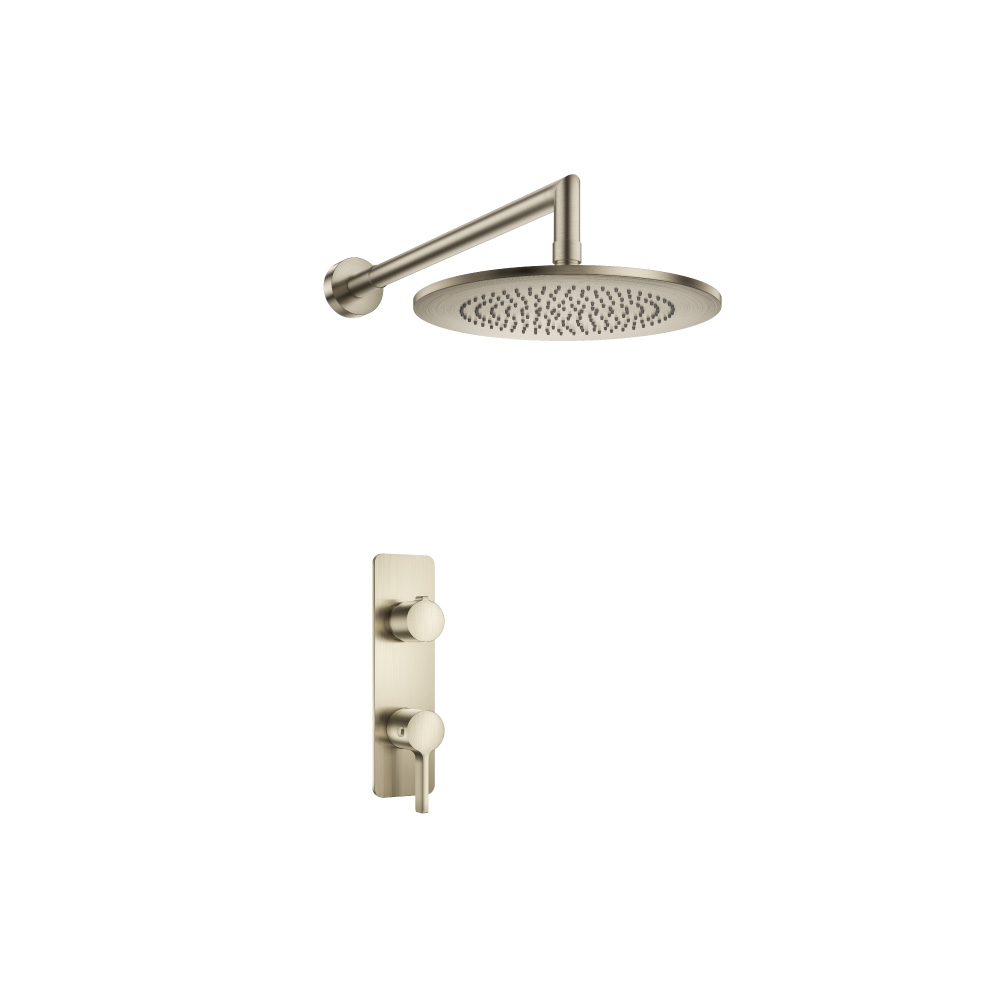 Single Output Shower Set With Shower Head And Arm | Brushed Nickel PVD