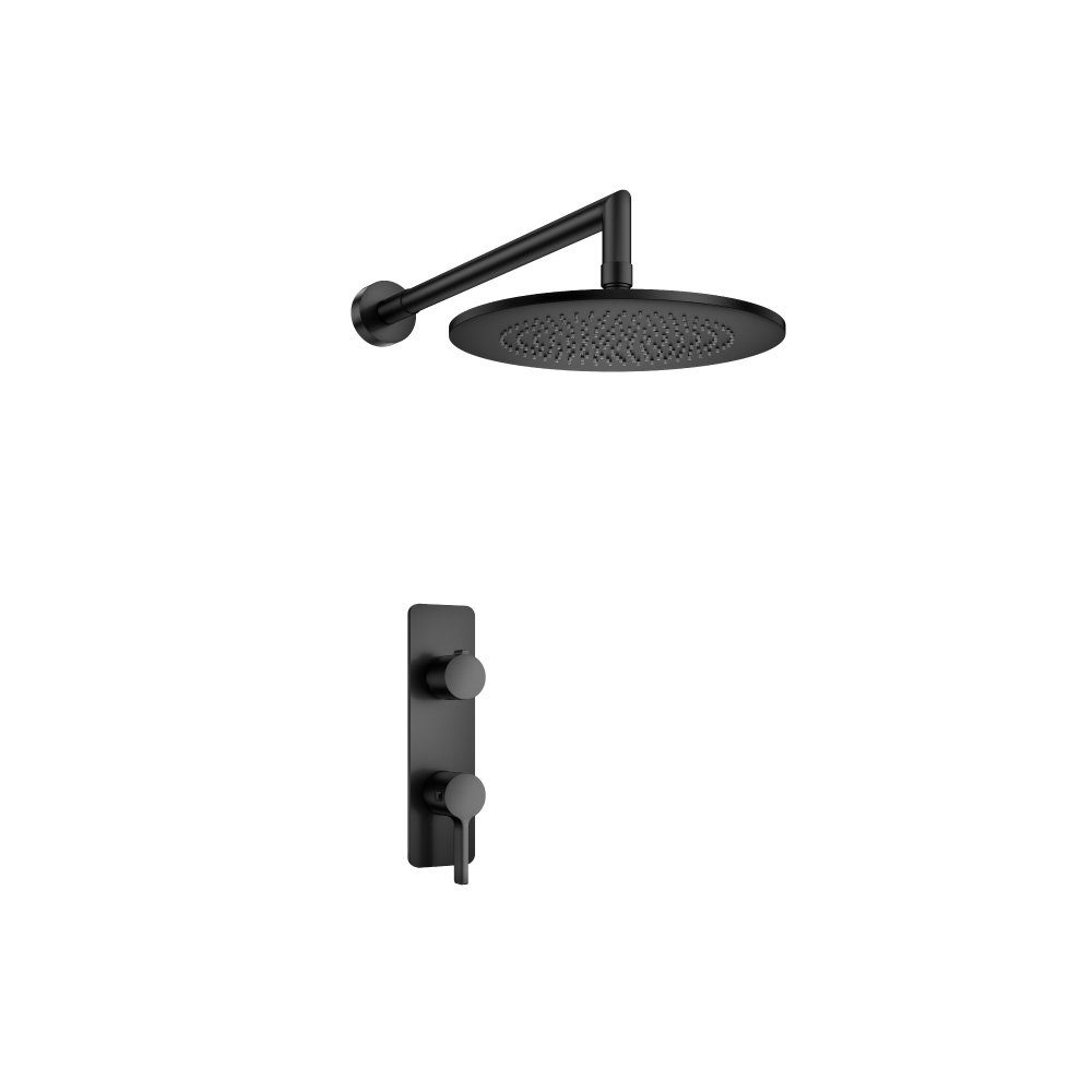 Single Output Shower Set With Shower Head And Arm | Matte Black