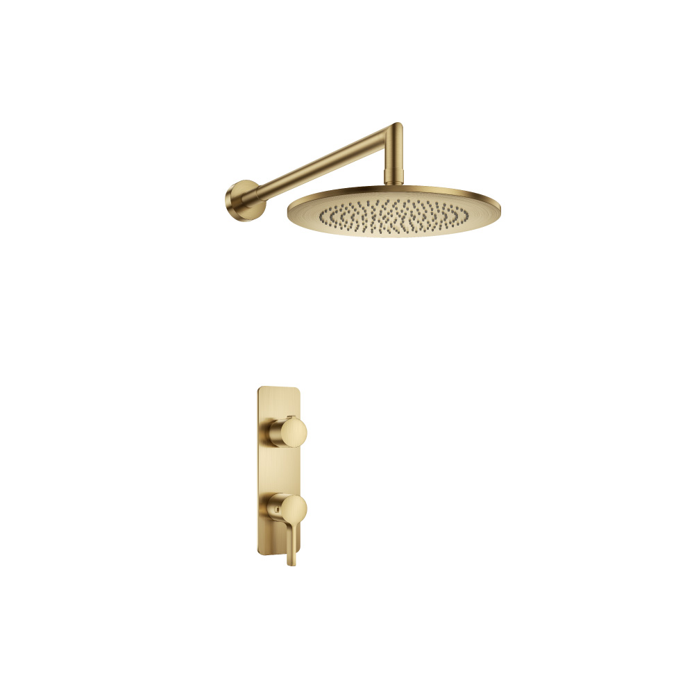 Single Output Shower Set With Shower Head And Arm | Satin Brass PVD