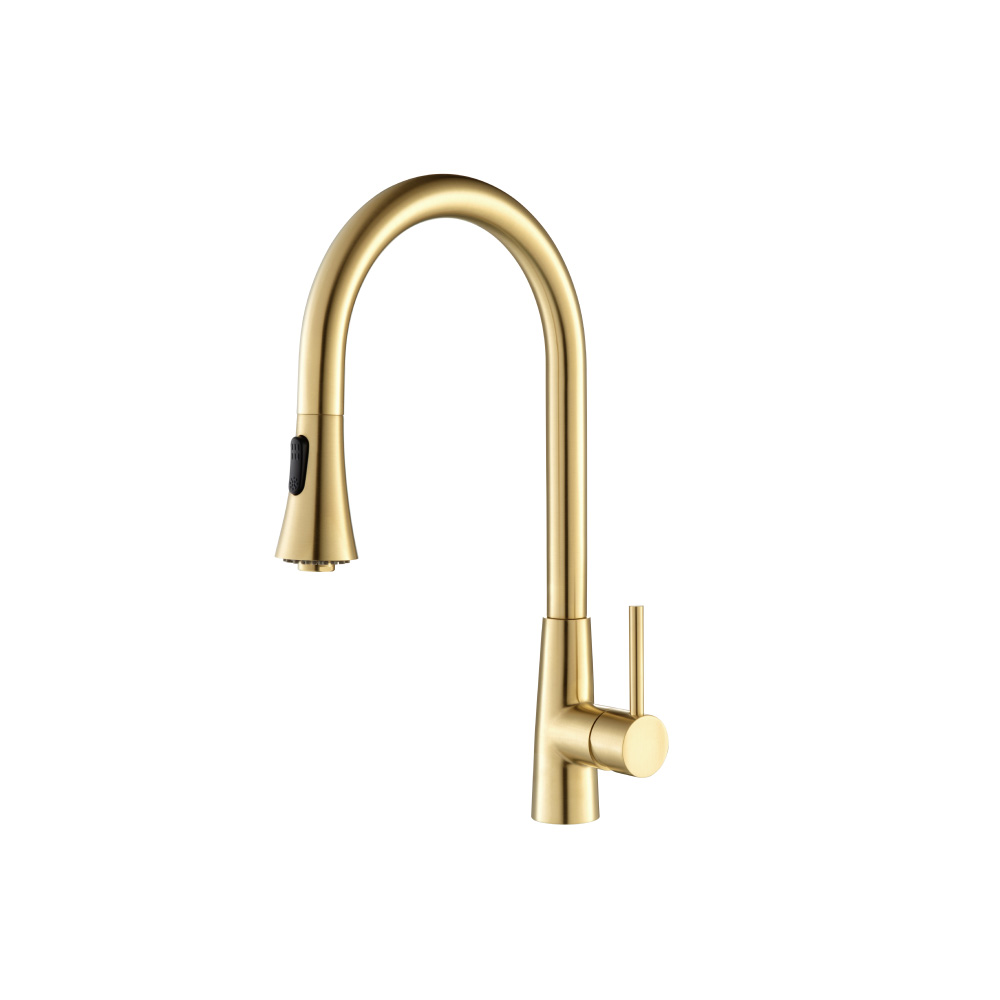 Zest - Dual Spray Stainless Steel Kitchen Faucet With Pull Out | Brushed Gold PVD