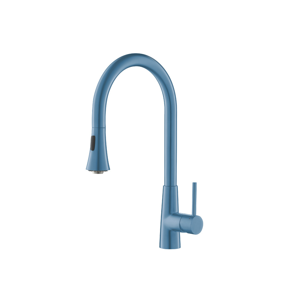 Zest - Dual Spray Stainless Steel Kitchen Faucet With Pull Out | Blue Platinum
