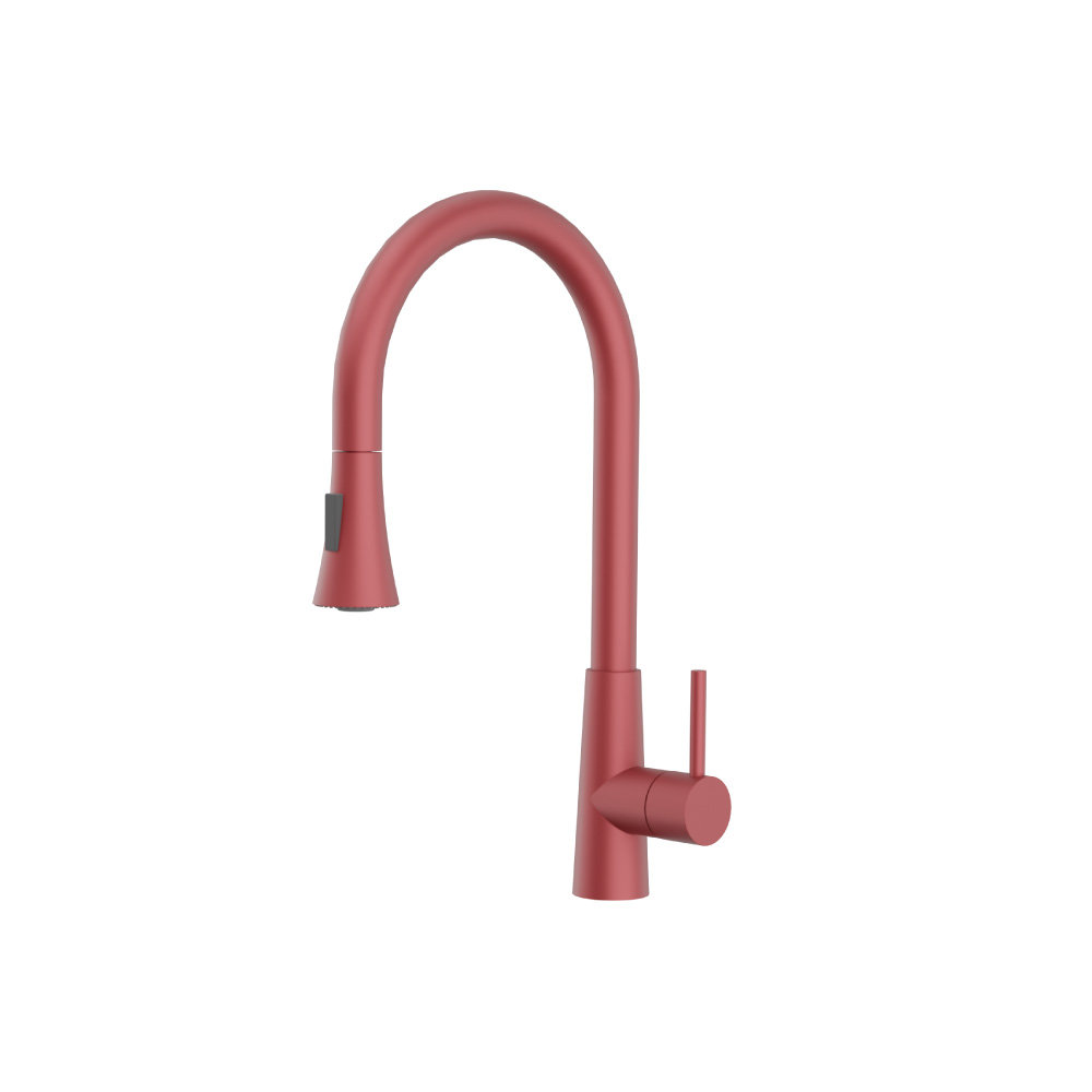 Zest - Dual Spray Stainless Steel Kitchen Faucet With Pull Out | Crimson