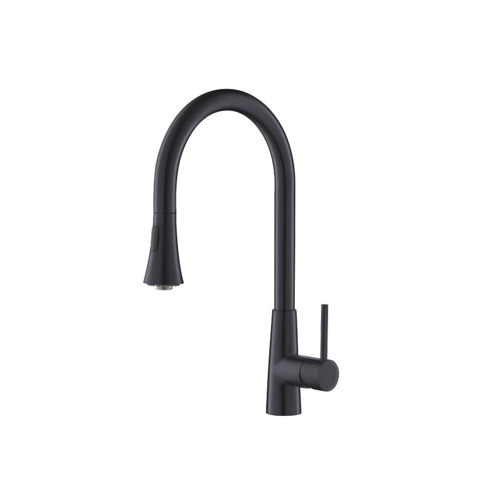 Zest - Dual Spray Stainless Steel Kitchen Faucet With Pull Out | Dark Grey