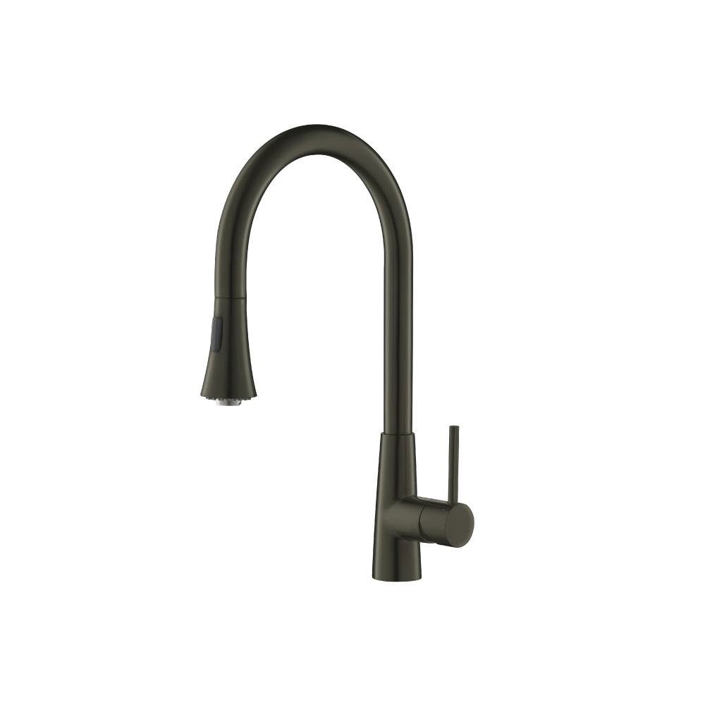 Zest - Dual Spray Stainless Steel Kitchen Faucet With Pull Out | Dark Green