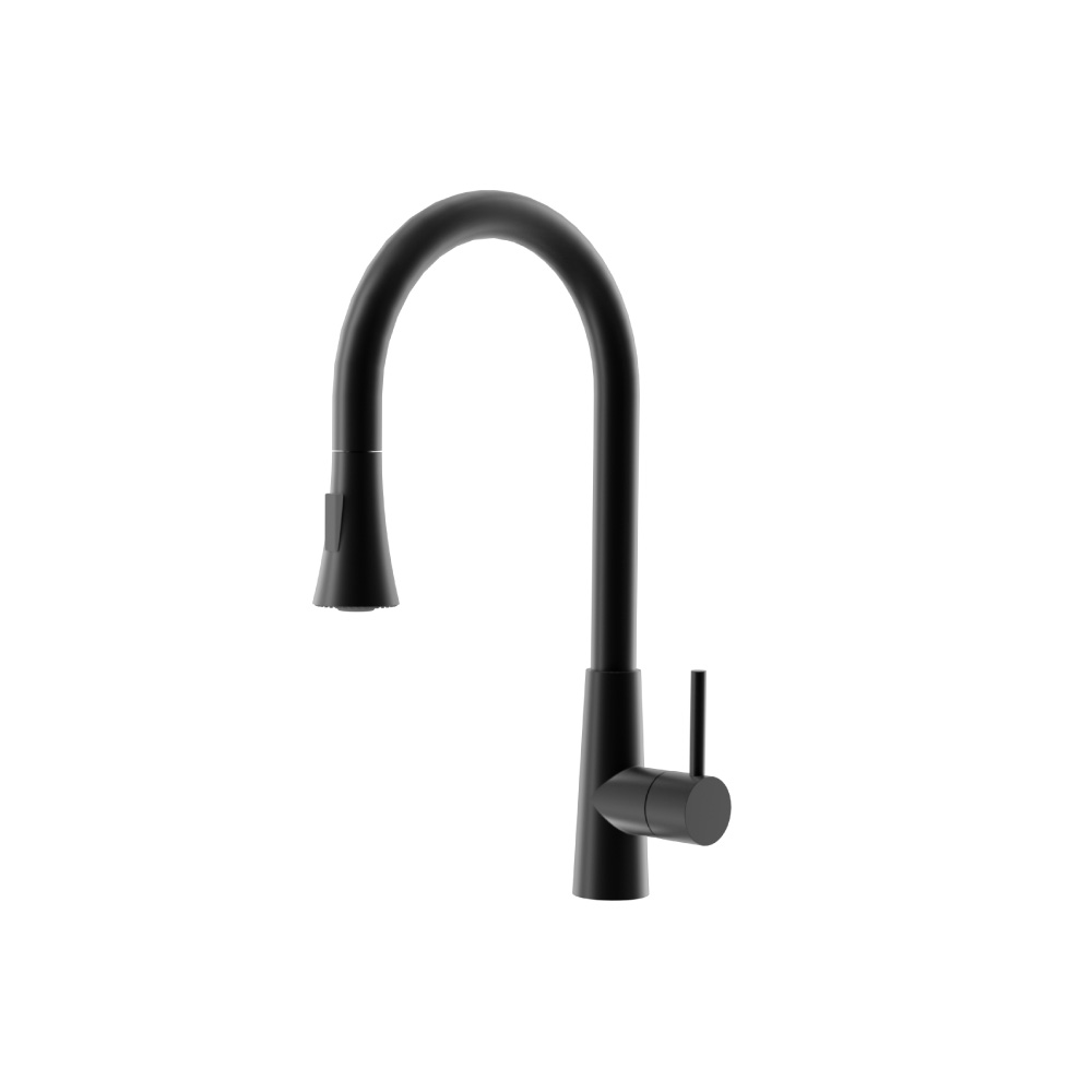 Zest - Dual Spray Stainless Steel Kitchen Faucet With Pull Out | Gloss Black