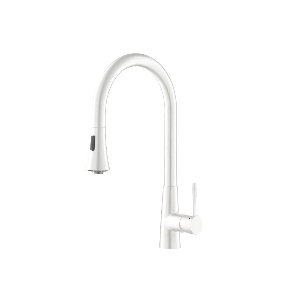 Zest - Dual Spray Stainless Steel Kitchen Faucet With Pull Out | Gloss White
