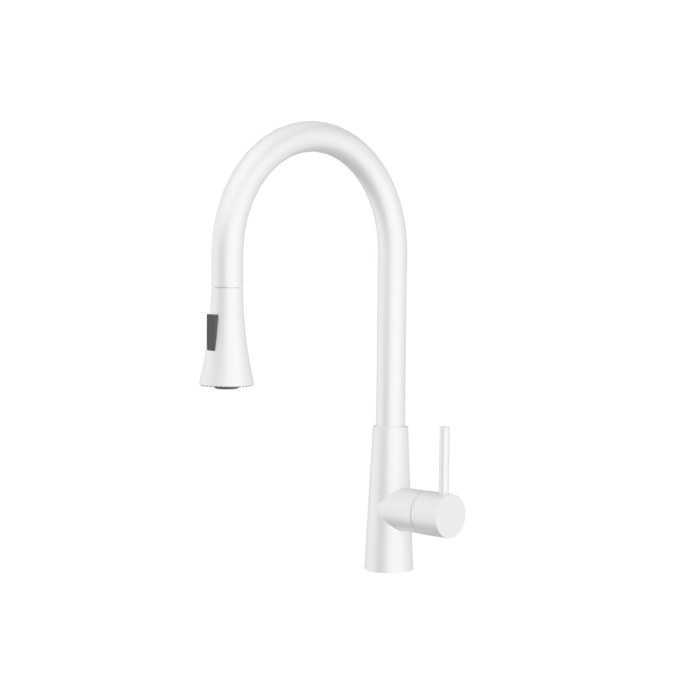 Zest - Dual Spray Stainless Steel Kitchen Faucet With Pull Out | Gloss White