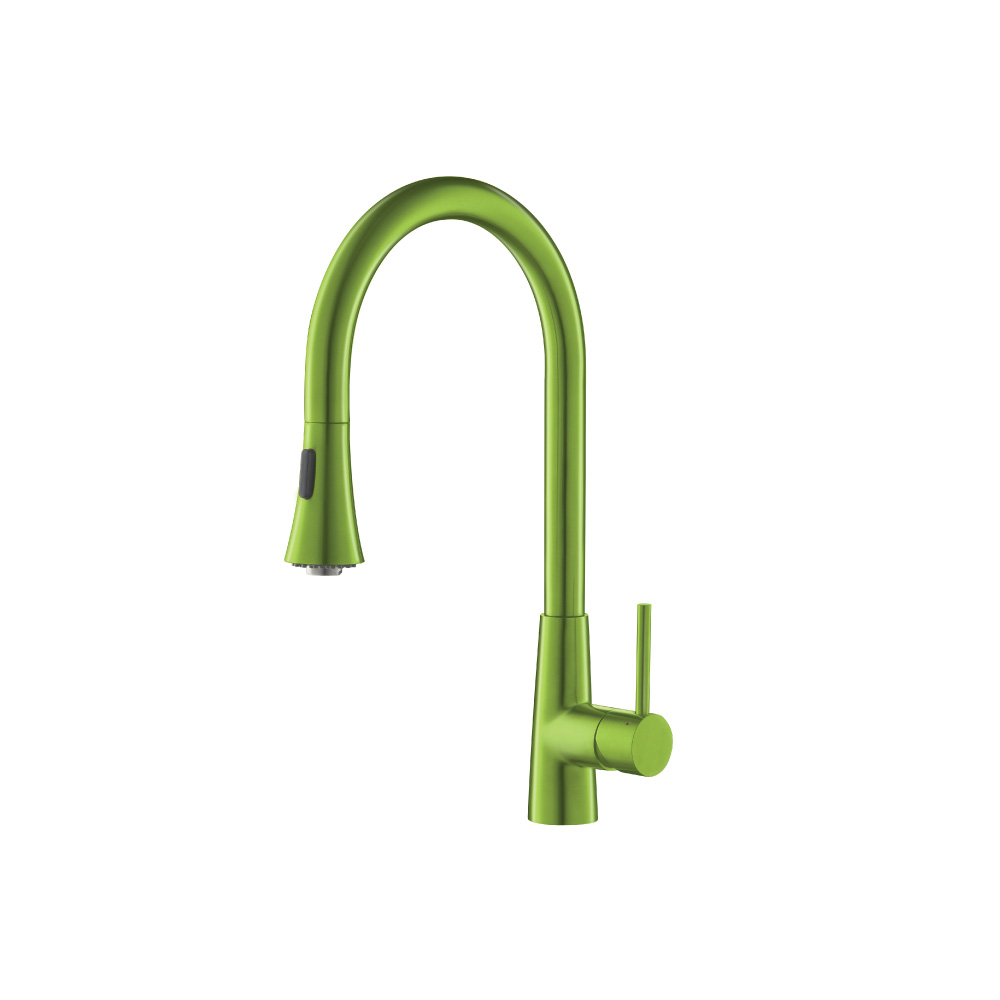 Zest - Dual Spray Stainless Steel Kitchen Faucet With Pull Out | Isenberg Green