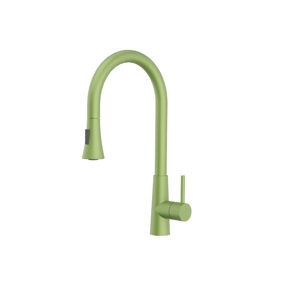 Zest - Dual Spray Stainless Steel Kitchen Faucet With Pull Out | Isenberg Green