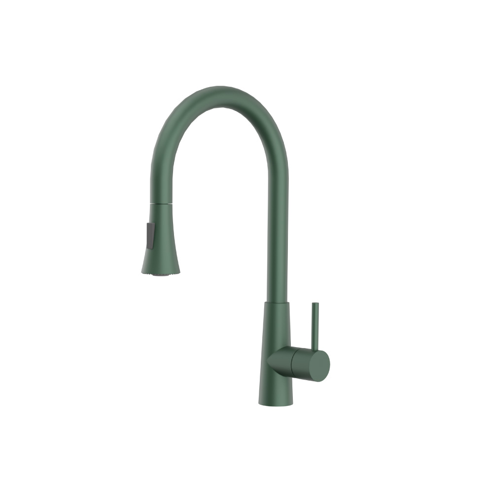 Zest - Dual Spray Stainless Steel Kitchen Faucet With Pull Out | Leaf Green