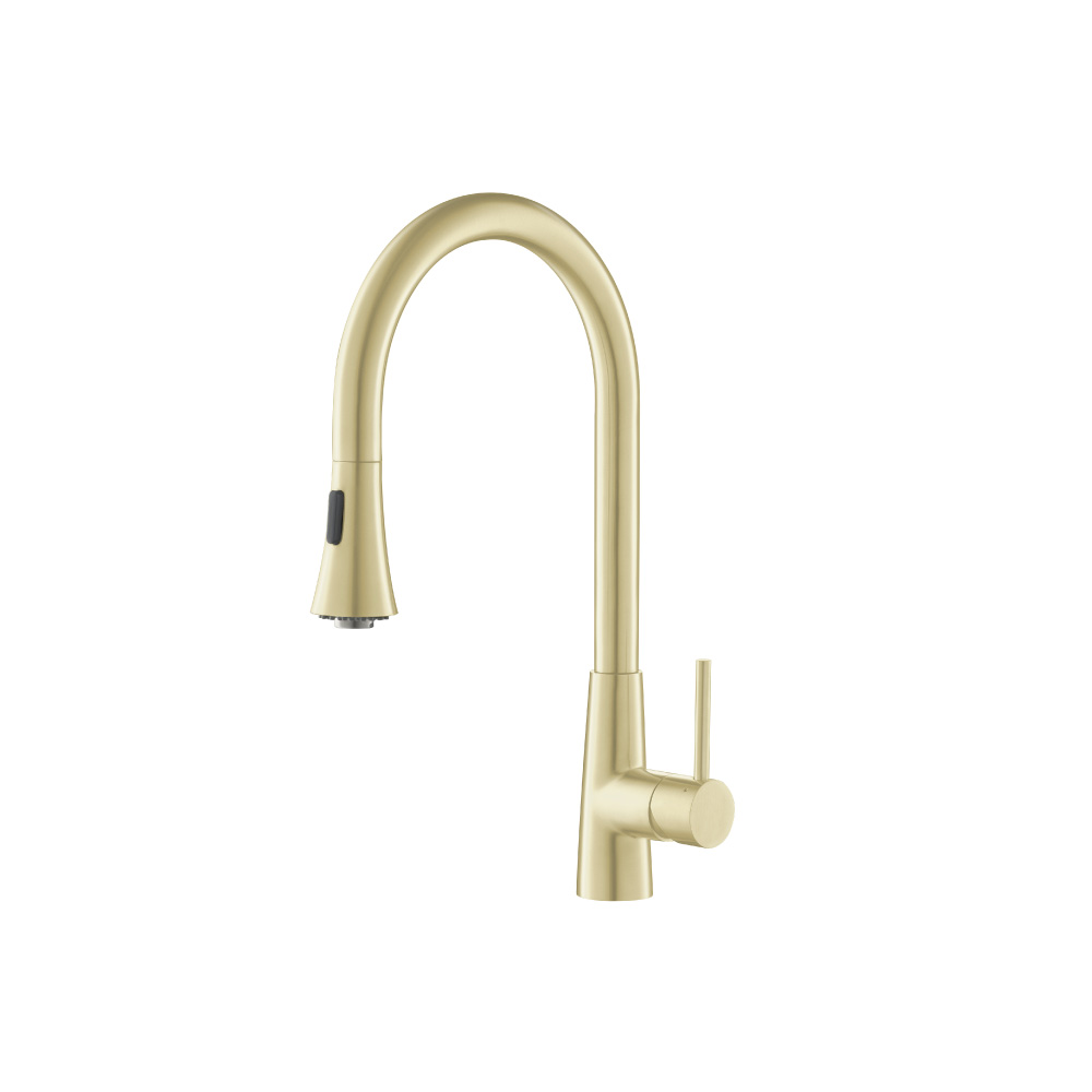 Zest - Dual Spray Stainless Steel Kitchen Faucet With Pull Out | Light Tan